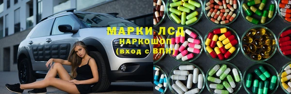 ПСИЛОЦИБИНОВЫЕ ГРИБЫ Абаза